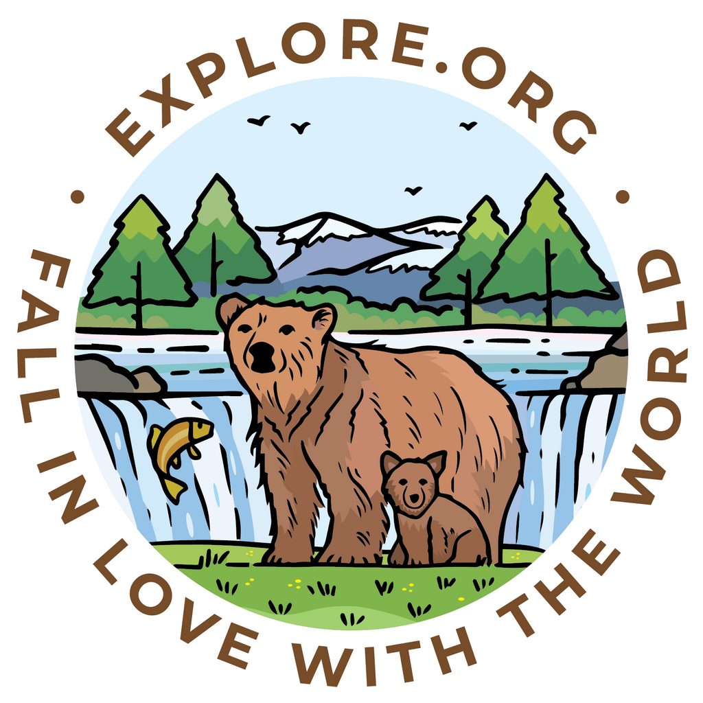 Products Unique Crafts By Jenn products-unique-crafts-by-jenn